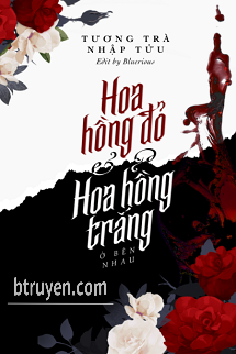 Hoa Hồng Đỏ Và Hoa Hồng Trắng Ở Bên Nhau